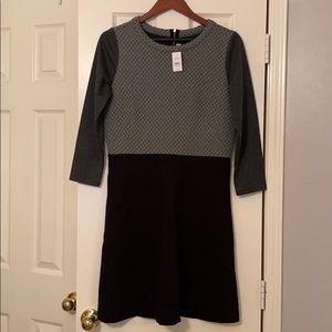 Loft long sleeve dress